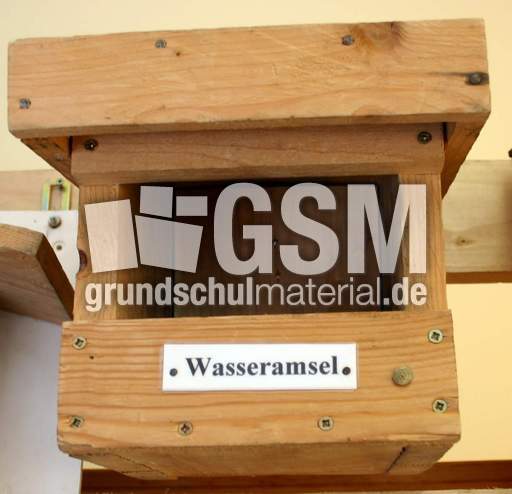 Nistkasten-Wasseramsel.jpg